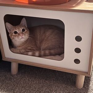 Meet your Posher, Jeff